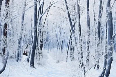 Зимний лес» картина Кораблевой Елены маслом на холсте — купить на 