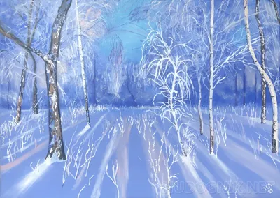 Фотография Сказочный зимний лес №81529 - «Зимняя сказка» ( -  )