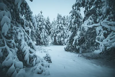 Зимний пейзаж с фигурами людей (картина) — Джордж Морланд