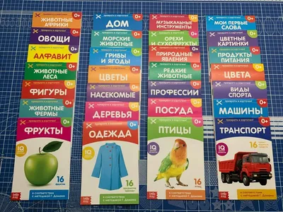 Книги «Карточки Домана на скрепке», набор, 8 шт. по 20 стр. (3015934) -  Купить по цене от  руб. | Интернет магазин 