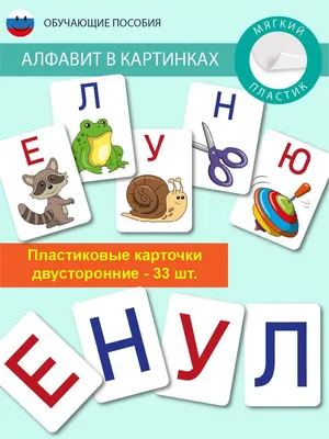 Набор развивающих карточек "Алфавит в картинках" - купить с доставкой по  выгодным ценам в интернет-магазине OZON (986061542)