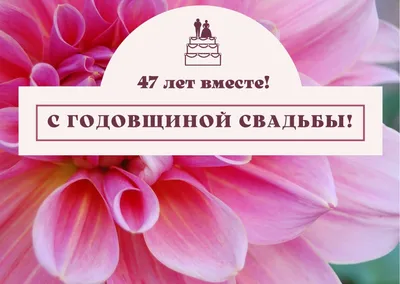 47 лет, годовщина свадьбы: поздравления, картинки - кашемировая свадьба (12  фото) 🔥 Прикольные картинки и юмор