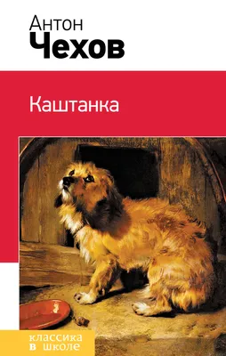 Каштанка. Рассказы Чехов Kids Book in Russian | eBay