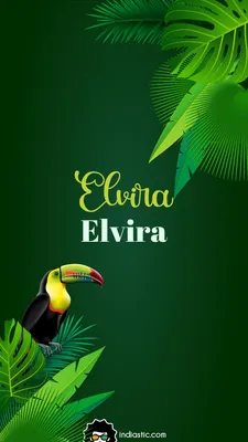 Эльвира, Повелительница Тьмы