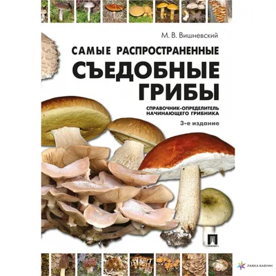 ТОП-3 вкусных грибов, о которых вы могли не знать