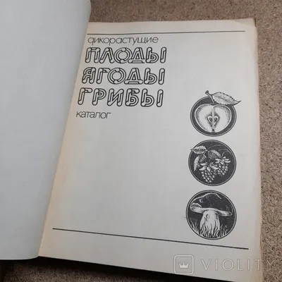 Дикорастущие плоды ягоды грибы Каталог – на сайте для коллекционеров  VIOLITY | Купить в Украине: Киеве, Харькове, Львове, Одессе, Житомире