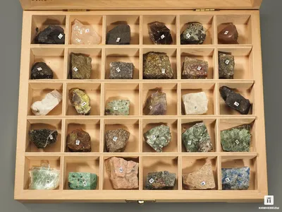 Образовательный коллекционный набор камней и минералов Rocks and Minerals  National Geographic