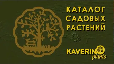 Каталог с описанием.Многолетние дачные цветы. | ANIVA | Дзен