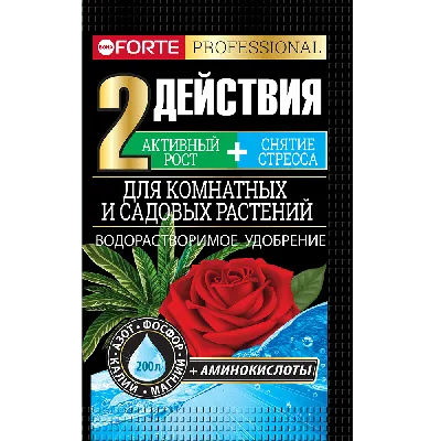 Красивый букет из 13 садовых роз по цене 4926 руб. заказать с доставкой по  Москве - свежие цветы от интернет-магазина "Во имя розы"