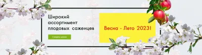 Каталог рассадника Bruss / Брунс 2016 / 2017 (ID#686981335), цена: 600 ₴,  купить на 