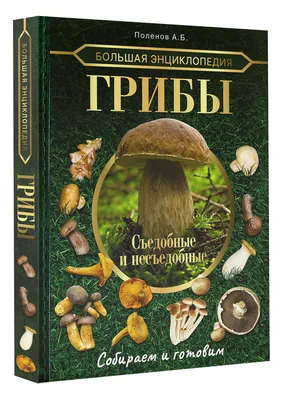 Большая энциклопедия. Грибы. Съедобные и несъедобные. Собираем и готовим  (Андрей Поленов) - купить книгу с доставкой в интернет-магазине  «Читай-город». ISBN: 978-5-17-149560-2