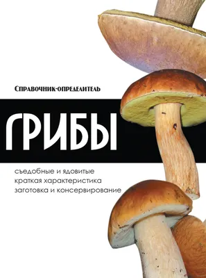 Самые распространенные грибы и их двойники съедобные, несъедобные,  ядовитые, Александр Матанцев – скачать pdf на ЛитРес