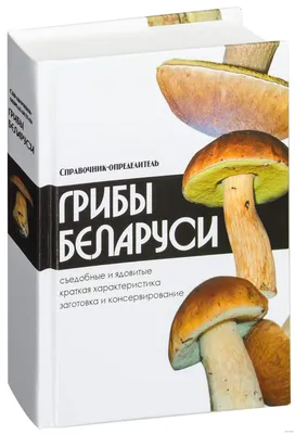 Белый гриб