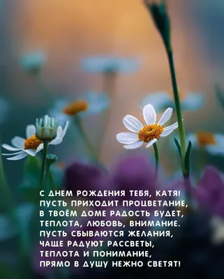 катевденьрождения#новые #питер #тикток #поздравления | TikTok