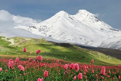 Самая высокая гора на Кавказе - название, рейтинг, фото