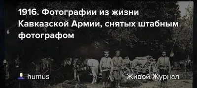 Звезда «Кавказской пленницы» назвала двух главных предателей России: Кино:  Культура: 