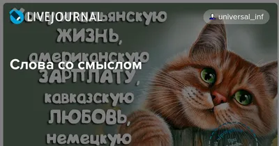 Ты чеченка, у нас свои законы»: история бежавшей из семьи кавказской  девушки | Такие Дела