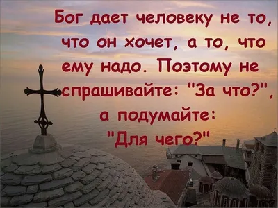 10 Кавказских фраз, поражающие своей глубиной и нестандартным подходом к  сути и смыслу жизни. | Живи Красиво | Дзен