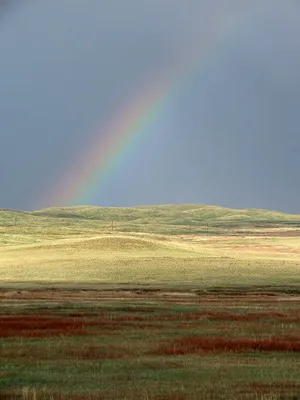 Kazakhstan's golden steppe shines again