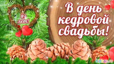 49 Лет Свадьбы, Поздравление с Кедровой Свадьбой с Годовщиной, Красивая  Прикольная Открытка в Стихах - YouTube