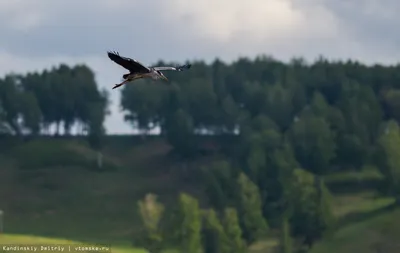 Туристические маршруты Печенгского округа