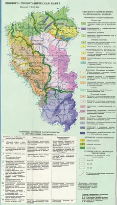 Административная карта Кемеровской области. Кемеровская и Томская области  на карте РСФСР