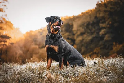 Фотография острова с высоты птичьего полета – бесплатное изображение океана на Unsplash