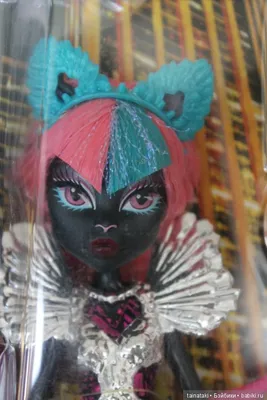 Игровая кукла - Кэтти Нуар Catty Noir Бу Йорк монстр хай monster high  купить в Шопике | Самара - 506572