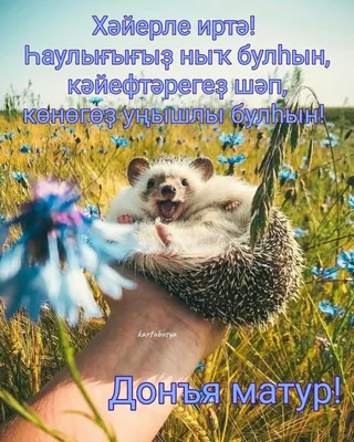 Хәерле иртә, ютазылылар! Доброго воскресного утра вам дорогие ютазинцы!