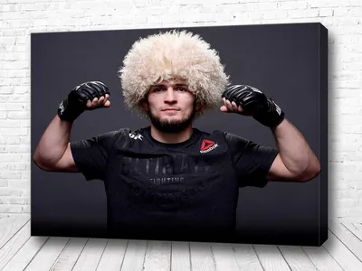 Экс-боец UFC Шауб раскритиковал Хабиба за слова о Махачеве