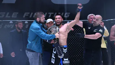 Кадыров назвал Хабиба проектом UFC и предложил бой в "Ахмате" за любую  сумму - , Sputnik Кыргызстан