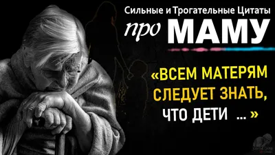 цитаты волка :: жизнь :: волк :: мама :: юмор (юмор в картинках) / смешные  картинки и другие приколы: комиксы, гиф анимация, видео, лучший  интеллектуальный юмор.