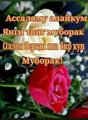 Идеи на тему «АССАЛОМУ АЛАЙКУМ! ХАЙИРЛИ ТОНГ!» (160) в 2024 г | тонга,  географическая деятельность, тюльпановый сад