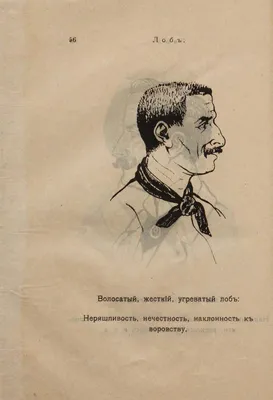 Книга "Чтение по лицу. Как определять характер, таланты, совместимость и  проблемы людей на основе даосской мудрости" Маккарти П - купить книгу в  интернет-магазине «Москва» ISBN: 978-5-389-21926-7, 1163744