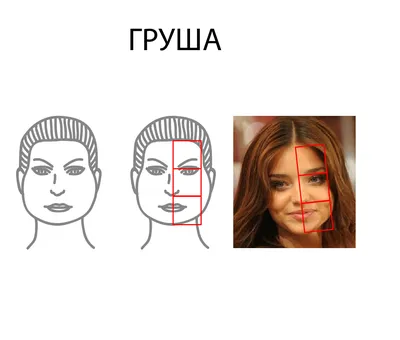 Основные пропорции человека при рисовании: какие бывают, типы и виды