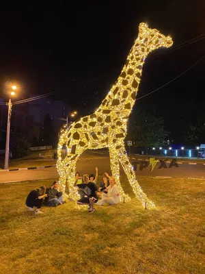 В новом Харьковском зоопарке у животных будет «цель жизни» и они смогут  «планировать свой день» (видео) | Об этом в программе "Насправді" на  телеканале Simon рассказал директор зоопарка Алексей Григорьев