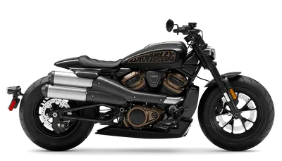 Harley-Davidson Softail Standard 2020 - цена, технические характеристики,  фотографии, видео - 