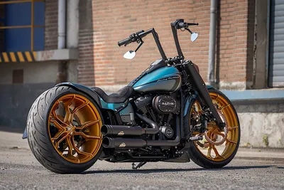 The hoglet: Harley-Davidson's Street 500 "learner bike"