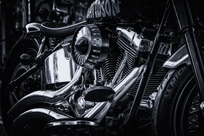 Which Harley Davidson is the fastest? - Iron City Motorcycles