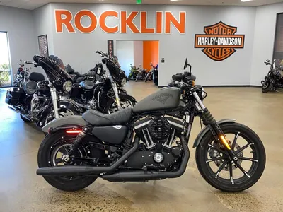 2018 Harley-Davidson® XL1200XS - Sportster® Forty-Eight® Special | Todd's  Motorcycles