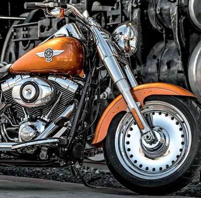 2022 Harley-Davidson Sportster Iron 883 First Look | Motorcyclist