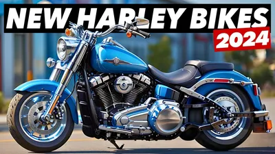 Pre-owned Harley-Davidson motorcycles | American Harley-Davidson®