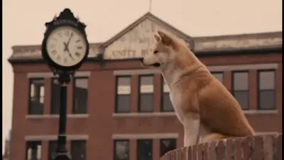 Хатико Самый верный друг / Hachiko: A Dog's Story (2009, фильм) - «Самый  верный друг» | отзывы