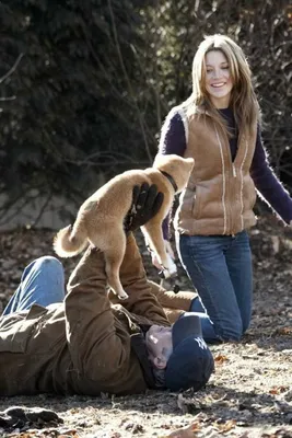 Фильм «Хатико: Самый верный друг» / Hachiko: A Dog's Story (2009) —  трейлеры, дата выхода | КГ-Портал