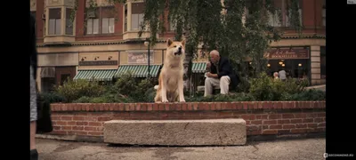 Акита-ину Хатико самый верный друг…» — создано в Шедевруме