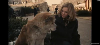 Хатико Самый верный друг / Hachiko: A Dog's Story (2009, фильм) - « Море  слёз... Бесконечная преданность четвероногого друга своему хозяину. Фильм с  потрясающе красивой музыкой..» | отзывы