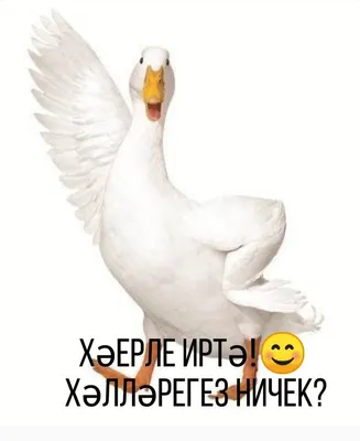 Хэерле иртэ!