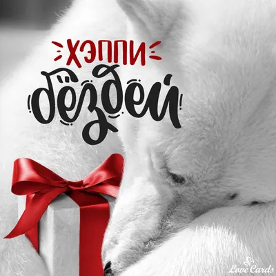 Клематис Хэппи Бёздей (Happy Birthday) — Рассада цветов и овощей.