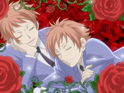 hitachiin hikaru and hitachiin kaoru (ouran high school host club) drawn by  minaramuda | Danbooru