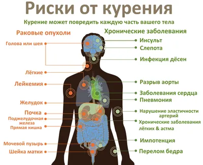 Интегрированный урок (химия + биология + география) "Оксиды в природе и жизни  человека"